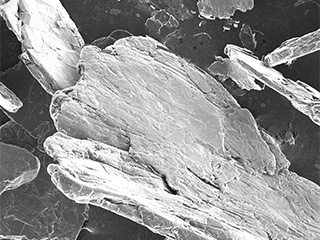 Miller Graphite SEM Images