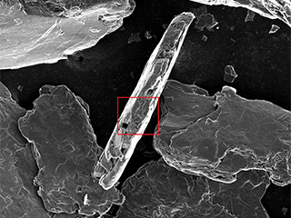 Miller Graphite SEM Images