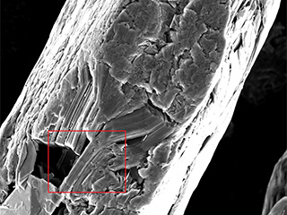 Miller Graphite SEM Images