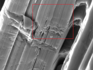 Miller Graphite SEM Images