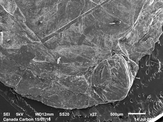 SEM Images Provided by Third Party of Thermally Upgraded Material